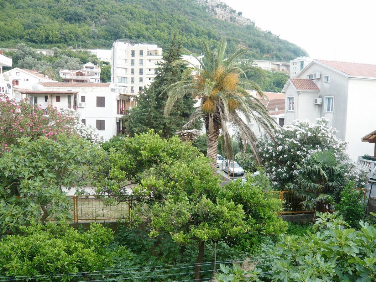 Slavica Rafailovici 3*